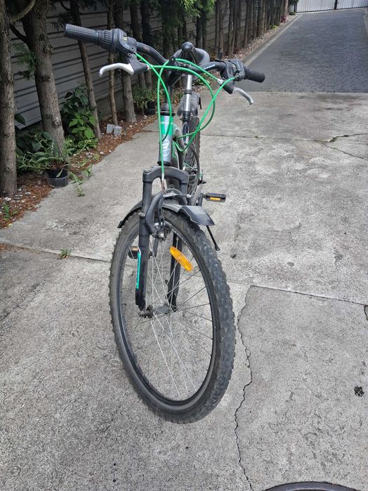 Rower Rayon Adventure.