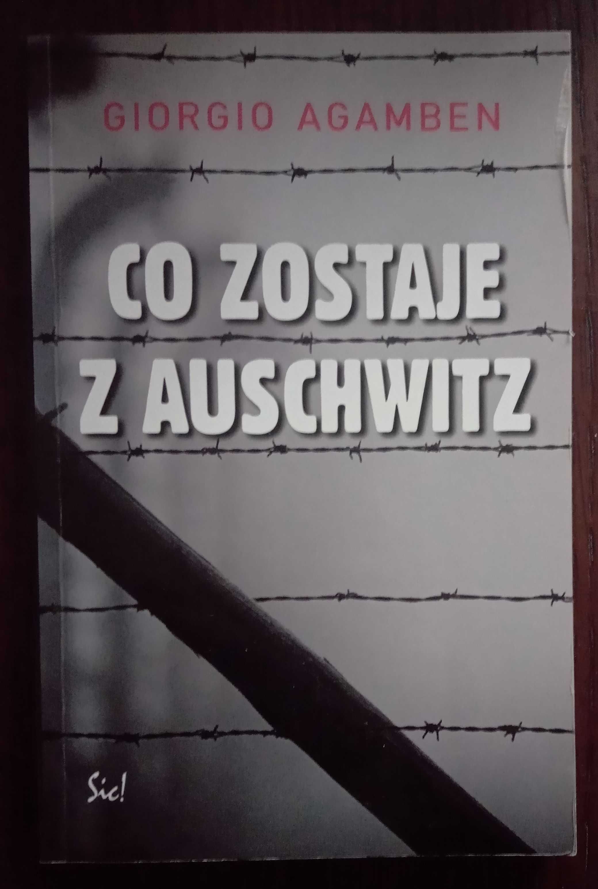 Co zostaje z Auschwitz - Giorgio Agamben
