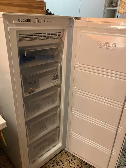 Arca congeladora vertical usada