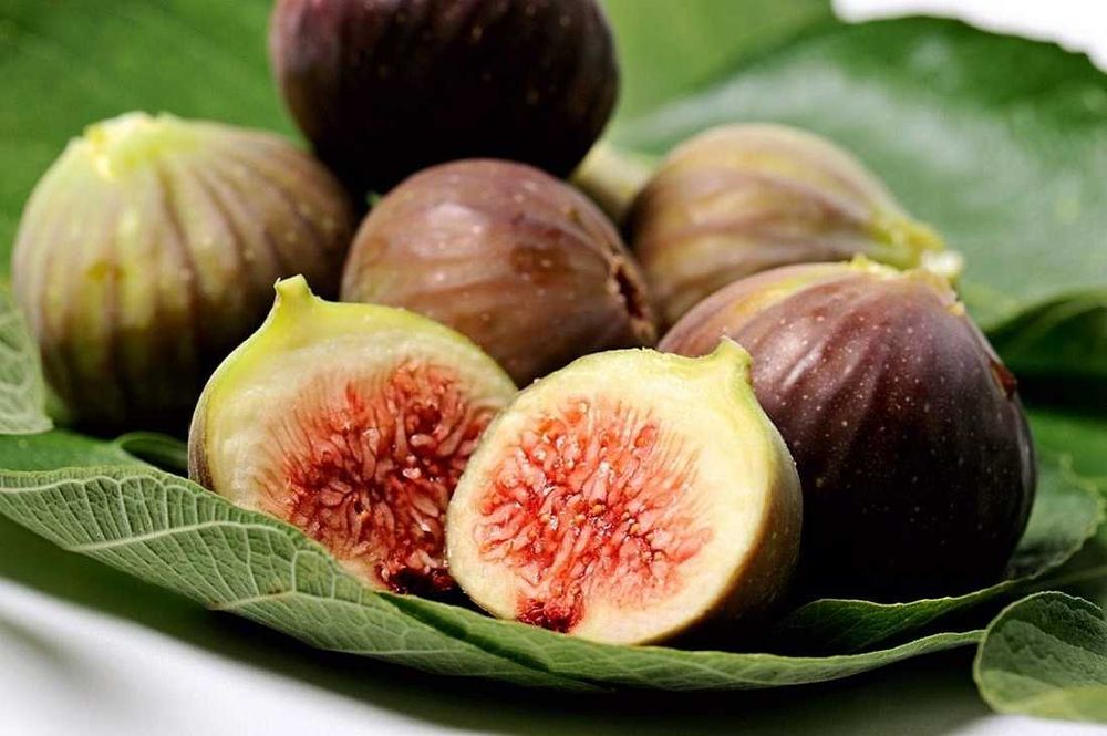 Brown Turkey, sadzonki figowców, figa, figi
