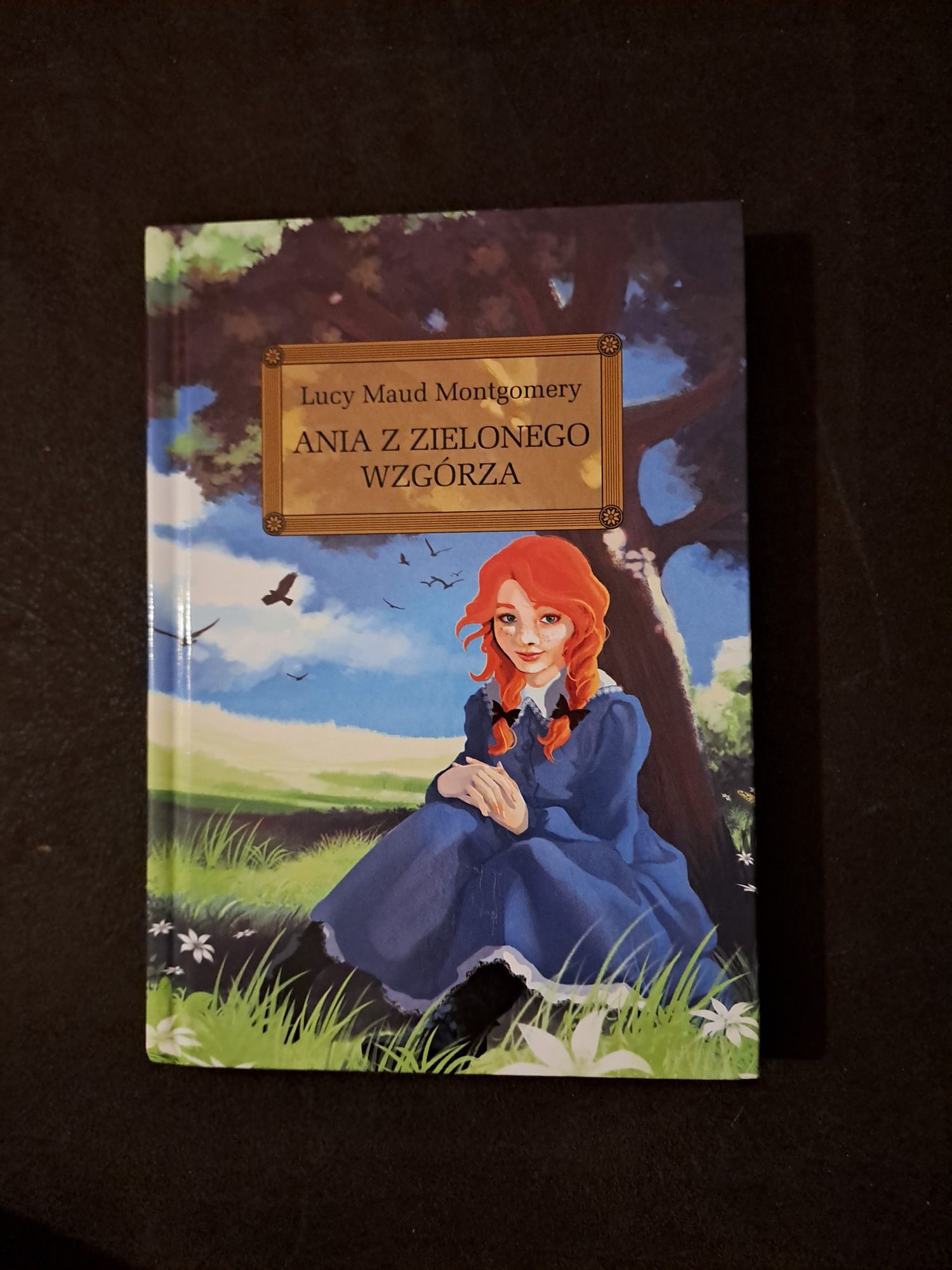 Książka Ania z Zielonego Wzgorzs