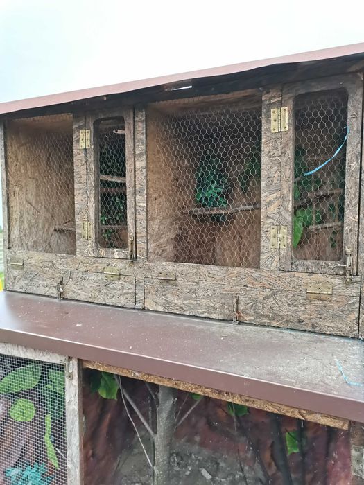 Klatka woliera na ptaki króliki itp.