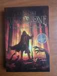 Kroniki Wardstone tom 1 zemsta czarownicy