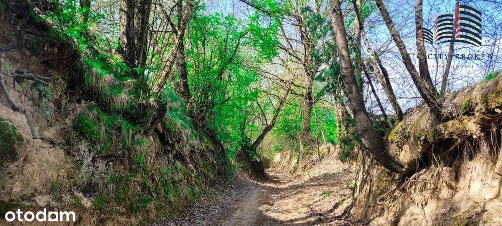 Rogów działka 36ar budowlano-rolna