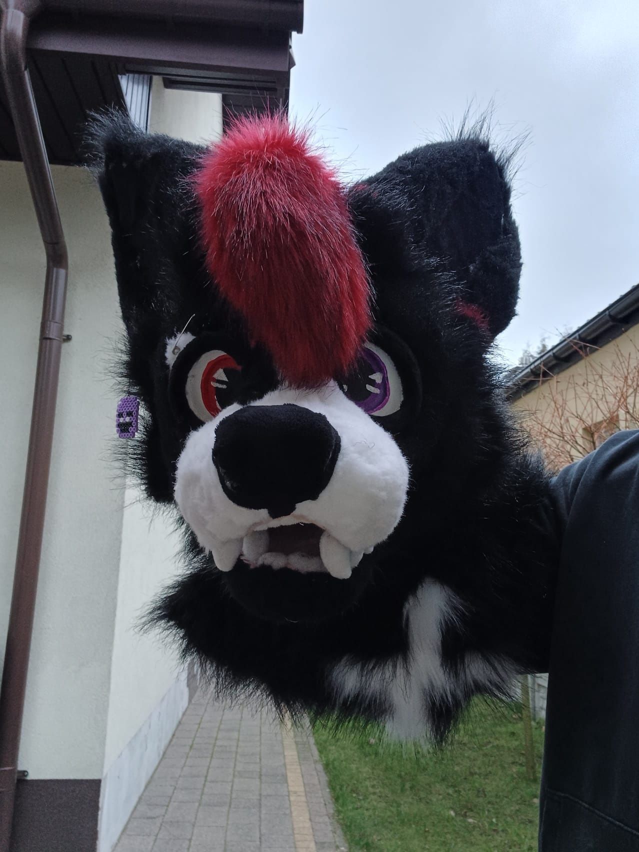 Fursuit head furry