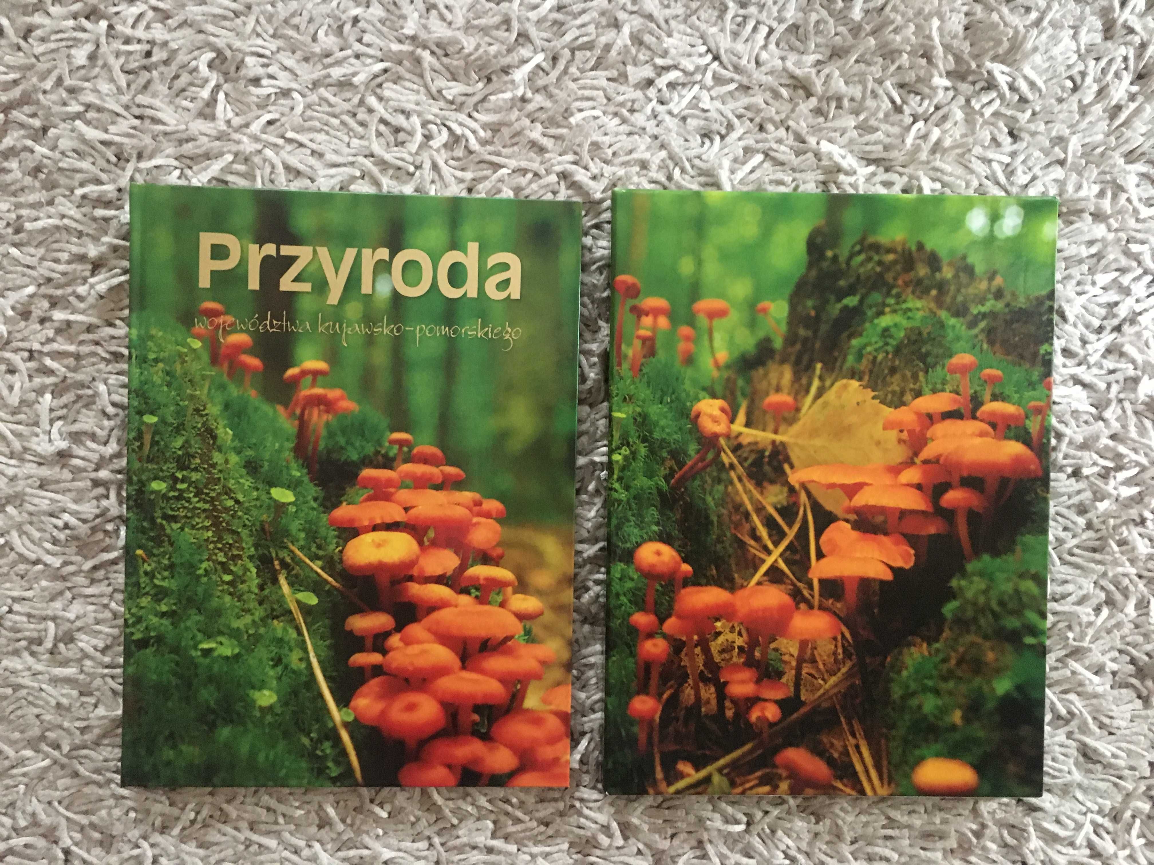 Książka, przewodnik, album Przyroda województwa kujawsko-pomorskiego
