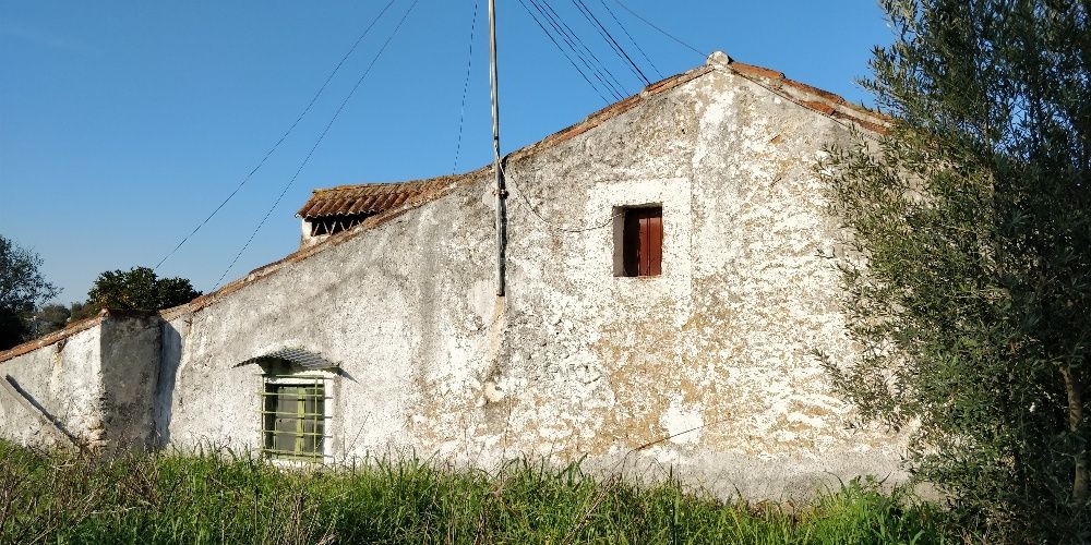 Terreno e Casa para Reconstruir em Mouriscas - Abrantes