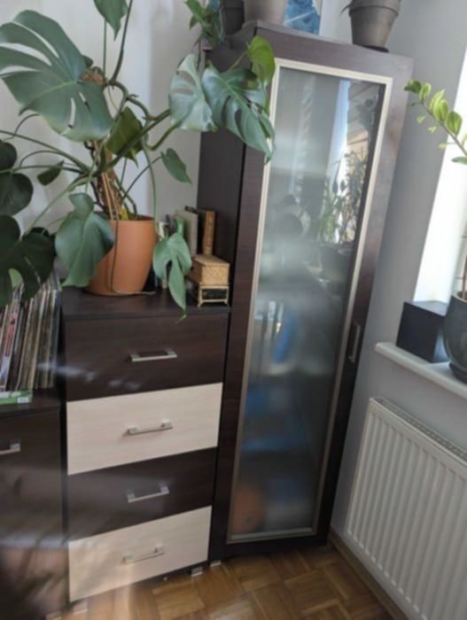 Oddam za darmo! Meble do salonu, komoda, biblioteczka, szafka