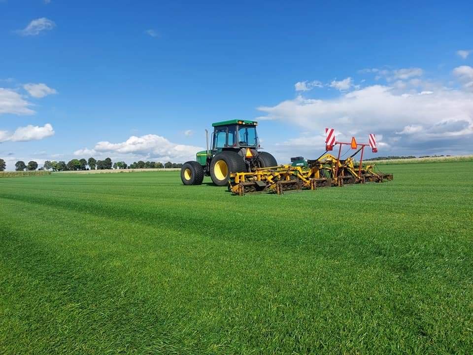 Trawa w rolkach Premium, Trawnik z rolki