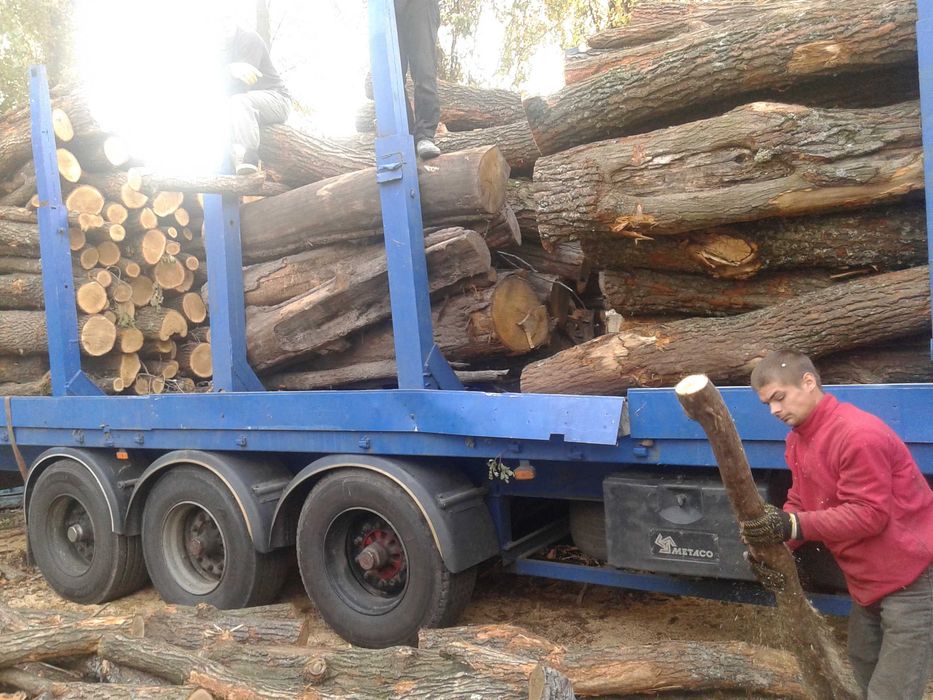 Продаємо дрова дубові,чурки метрівки,колоті і кругляк,колоди