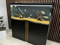 Vendo aquario completo com peixes