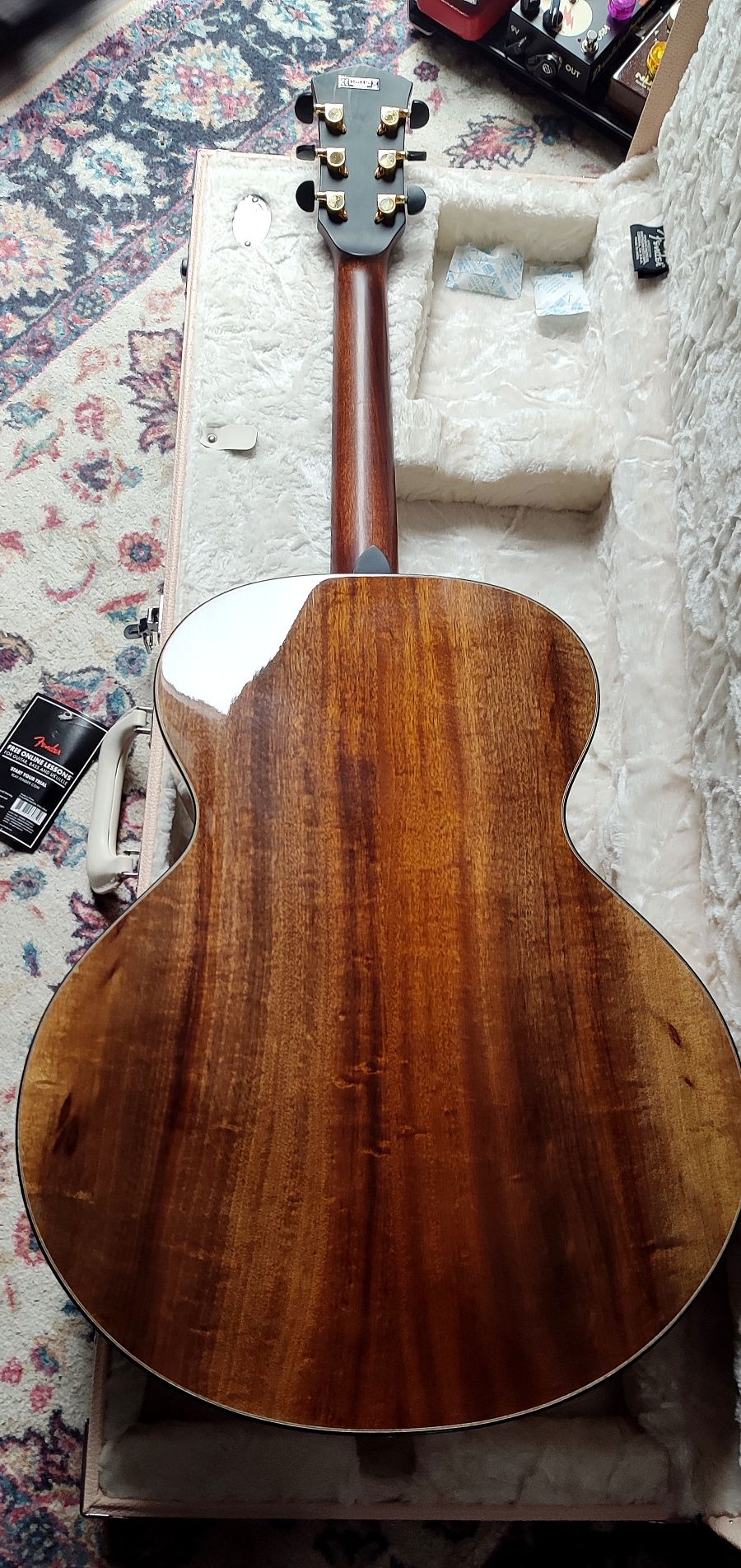 Cort Cut Craft Limited Edition NEW jak Gibson Martin Guild Taylor
