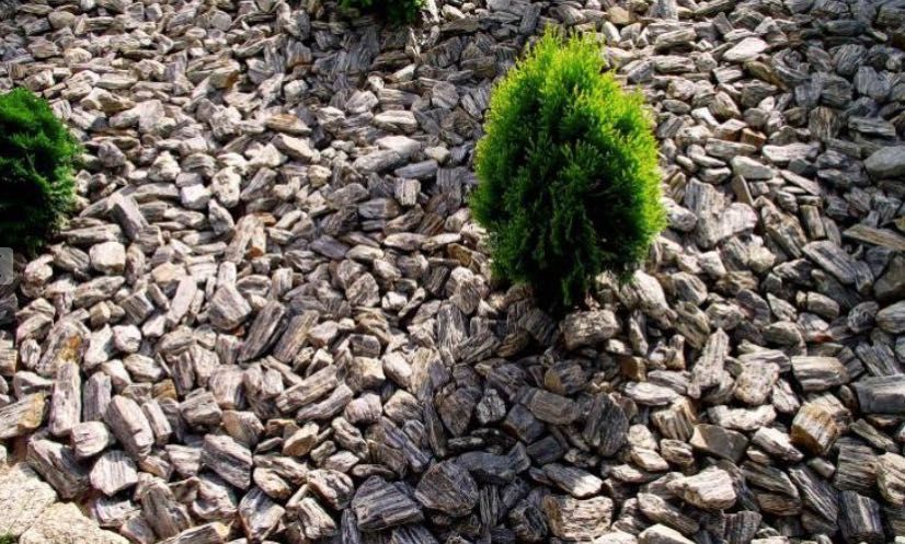 Kora Kamienna Płukana Grys Kamień Naturalny Gnejs Grodzisk Mazowiecki