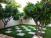 Jardinagem Biologica Jardineiro Gardener Design Jardim Poda Arvores