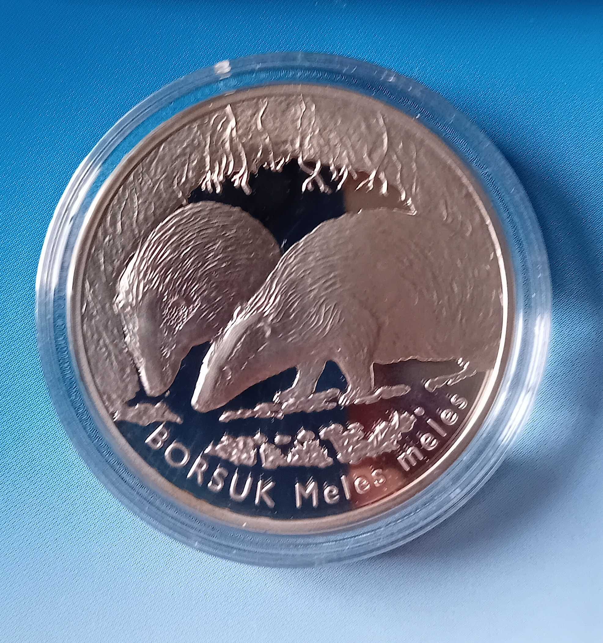 Srebrna moneta 20 zł - Borsuk 2011