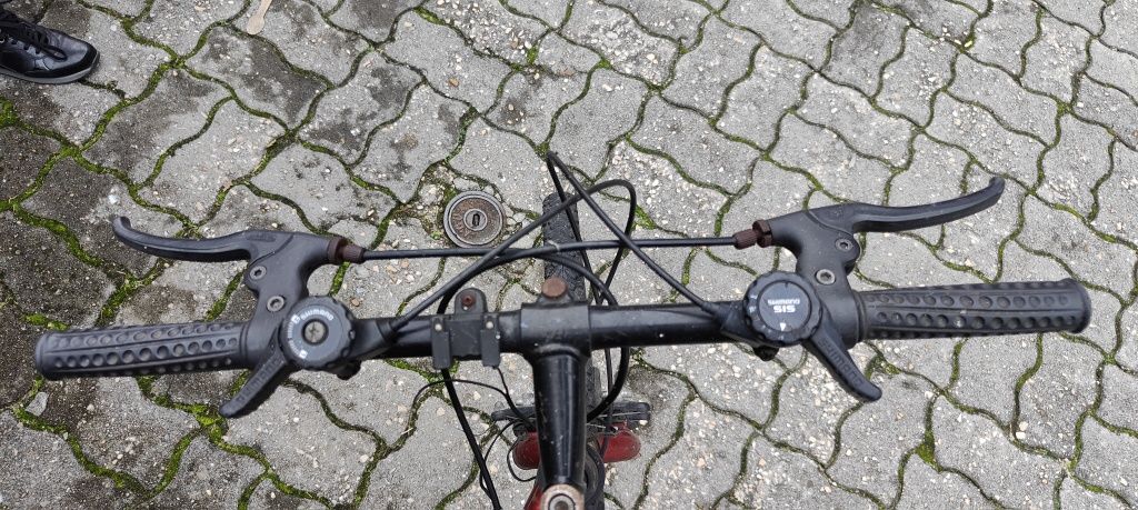 Bicicleta roda 24