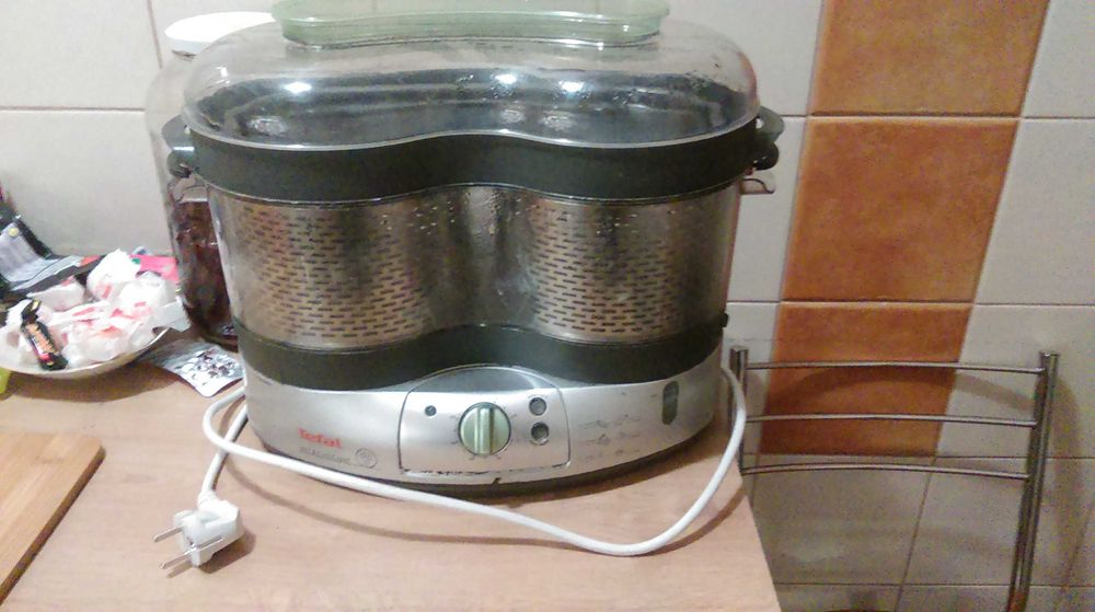parowar dwukomorowy tefal model vitacusine S06