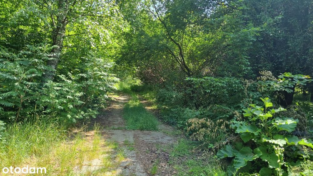 Nieruchomość inwestycyjna w atrakcyjnej okolicy