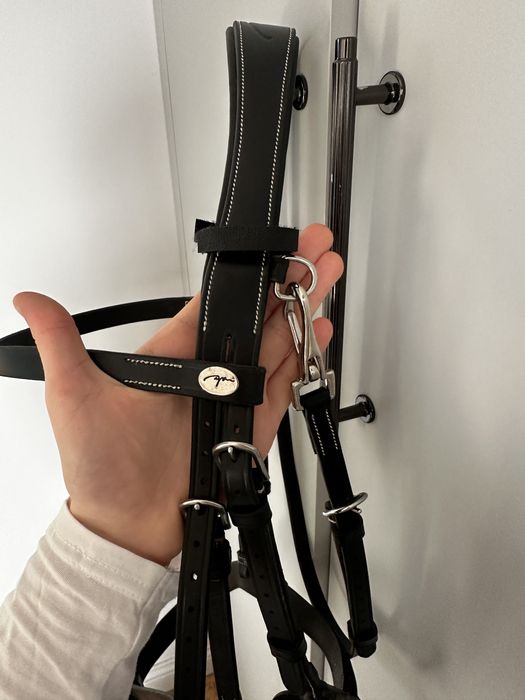 Ogłowie Dyon  Working