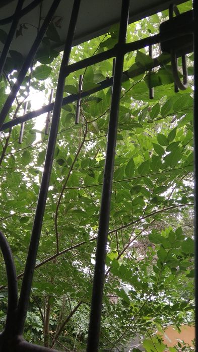 Антена для "Интертелекома"