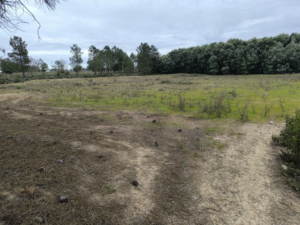 Terreno  com 6750 m2 em Catrão, Vale de Prazeres, Fundão.