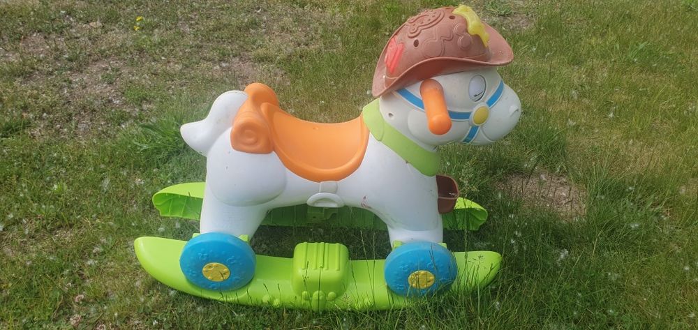 Konik na biegunach oraz na kołach