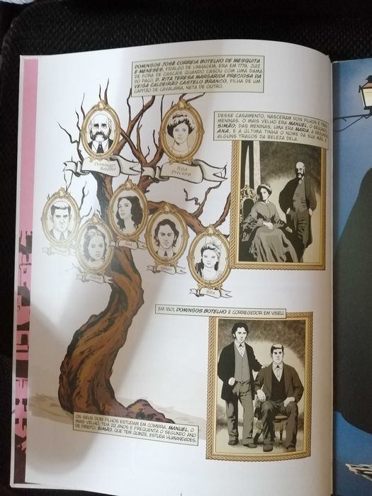 Amor de Perdição - Banda desenhada.