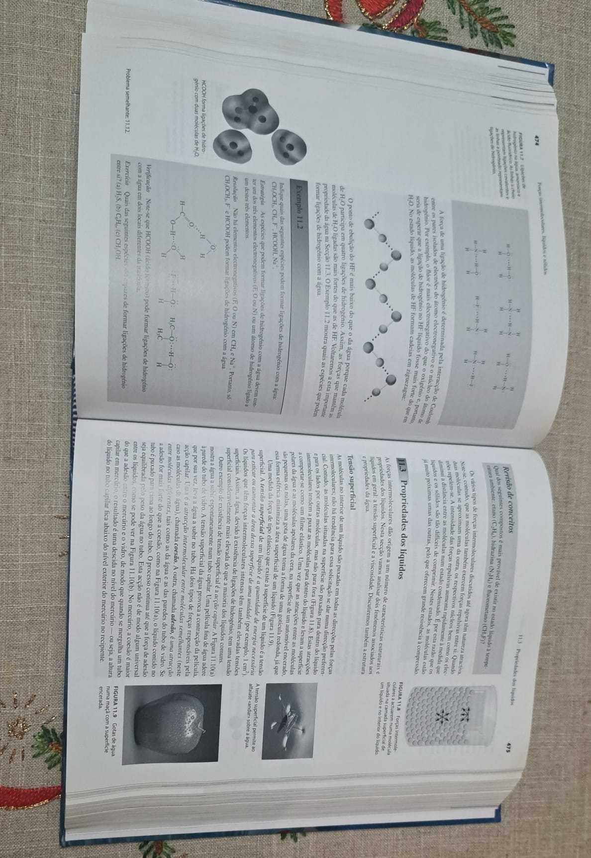 Química - Kenneth A. Goldsby - 11º Edição - NOVO