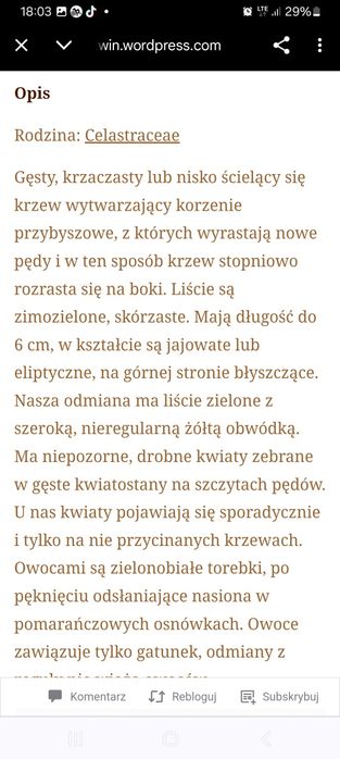 Trzmielina fortune'a, EMERALD GOLD