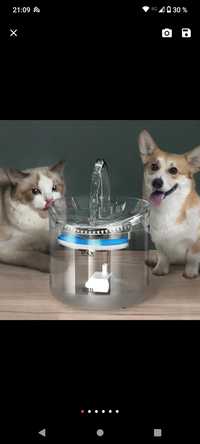 Автоматическая Поилка для кота или собачки 2 литра