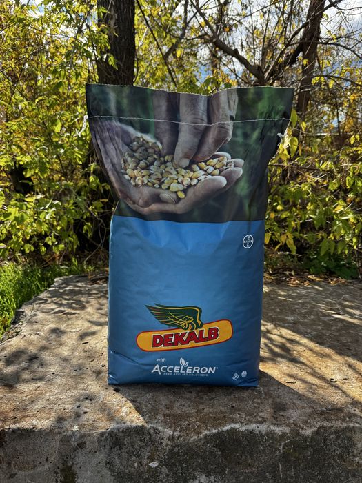 Насіння кукурудзи ДКС 3972 і 3969