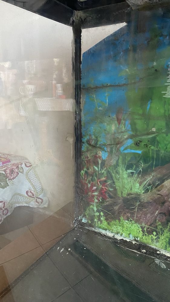 Akwarium panoramiczne 200L + szafka pokrywa osprzęt