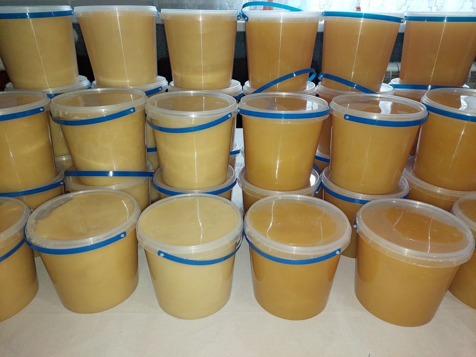 Пропоную мед бджолиний