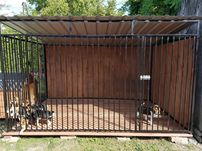 Kojec Klatka Zagroda Buda dla psa 3mx2m Montaż Gratis Solidny