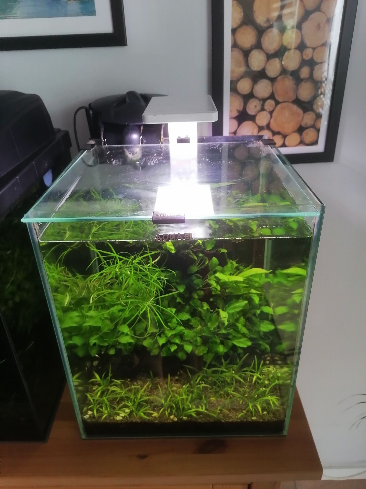 Akwarium 30l aquael