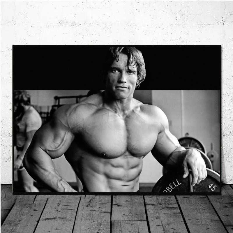 Bodybuilding Culturismo Arnold Frank Zane Poster - Tamanho A1-A2-A3