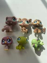 Zestaw lps littlest pet shop