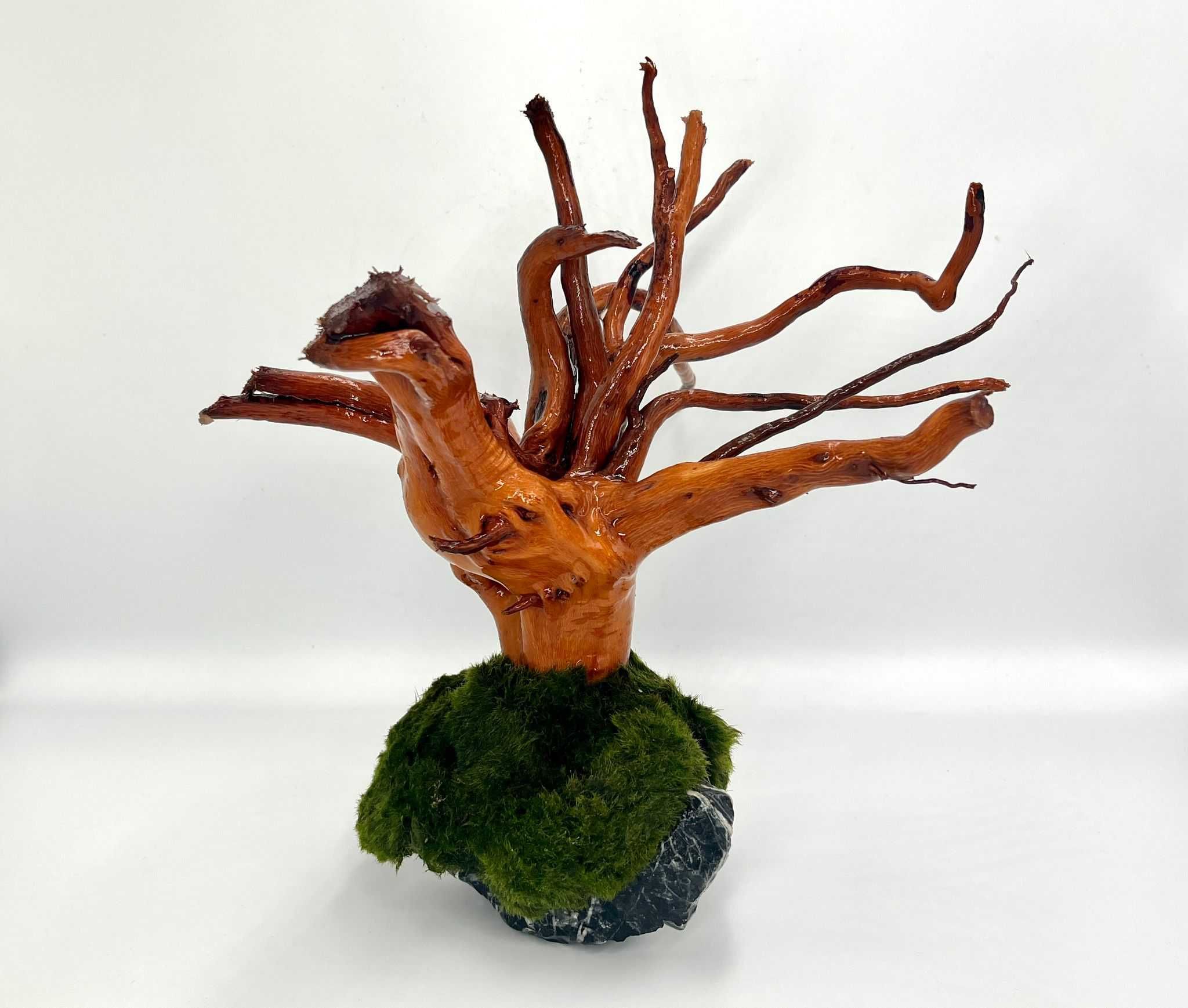 Piękna Aranżacja Do Akwarium Drzewko Bonsai