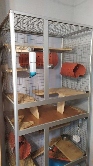 Вітрина-клітка для шиншил