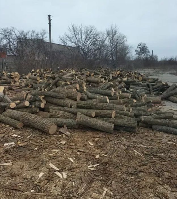 Дрова оптом та в роздріб, колоті та в колодах. (3-55 ск.м)