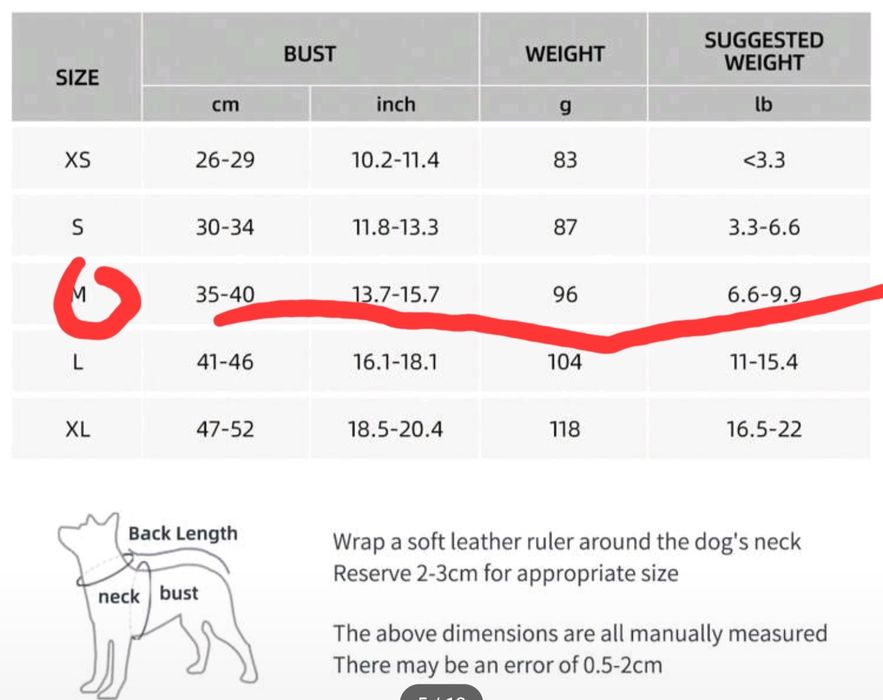 Conjunto De Arnês e trela