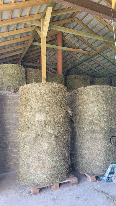Sprzedam siano w belach