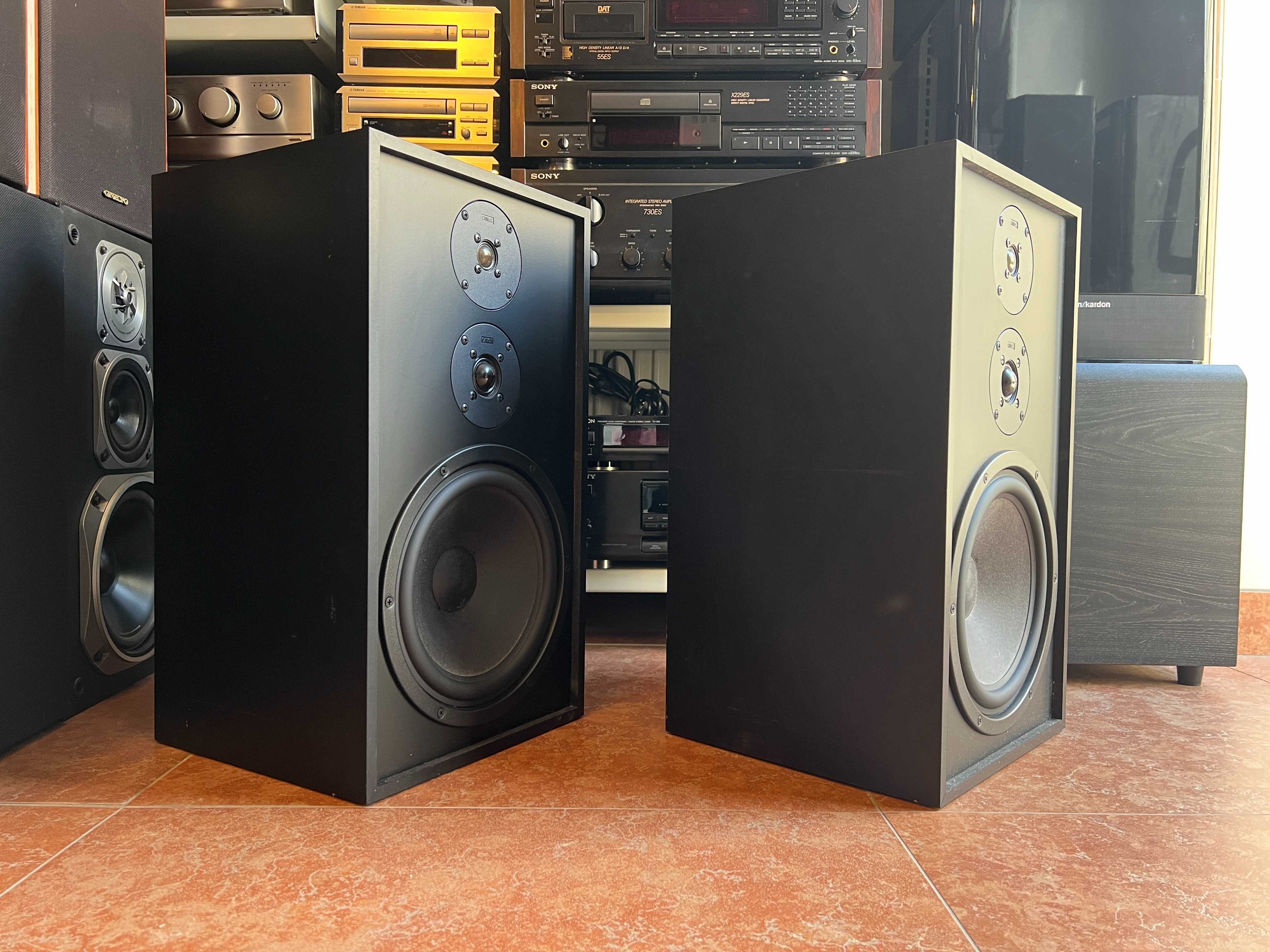 Kolumny podłogowe Canton C885, Monitory, podstawkowe, Audio Room