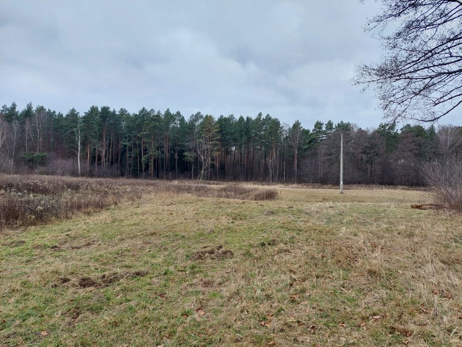 Działka inwestycyjna, rekreacyjna