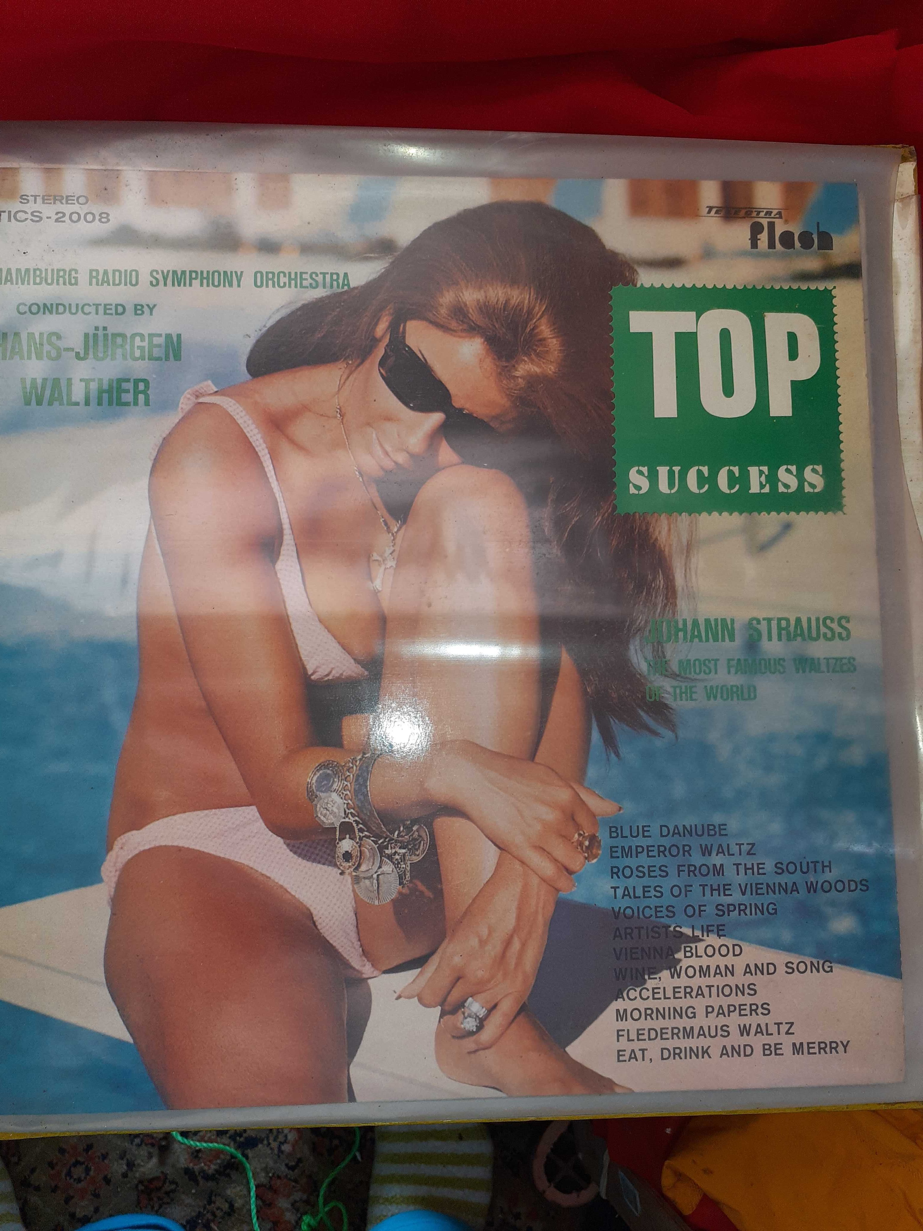 Disco Vinil- Top Sucess