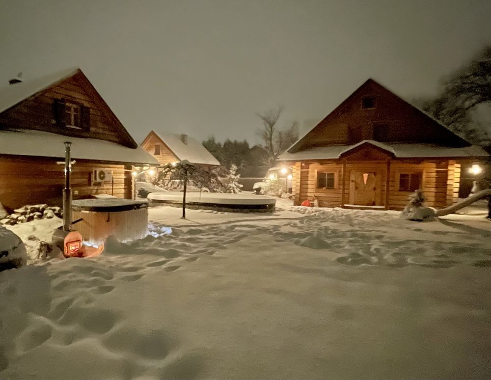 Domy z bali do wynajęcia. Basen, bania. Beskidy.