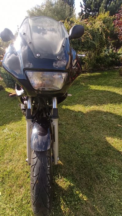 Yamaha xj 600 s diversion