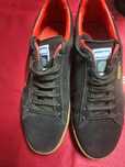 Sapatihas da puma