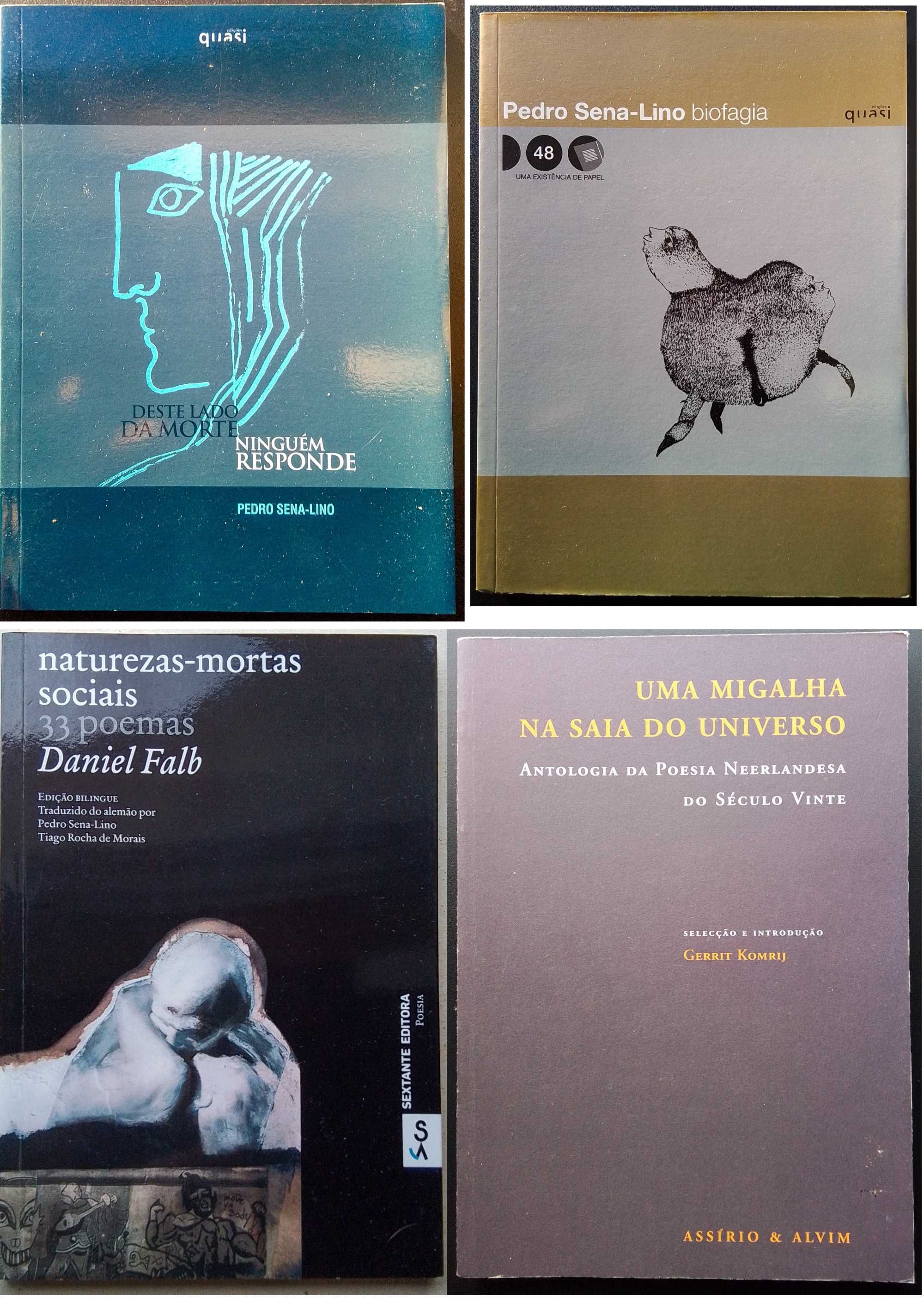 Lote de 23 livros de poesia