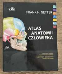 Atlas anatomii człowieka – Frank Netter
